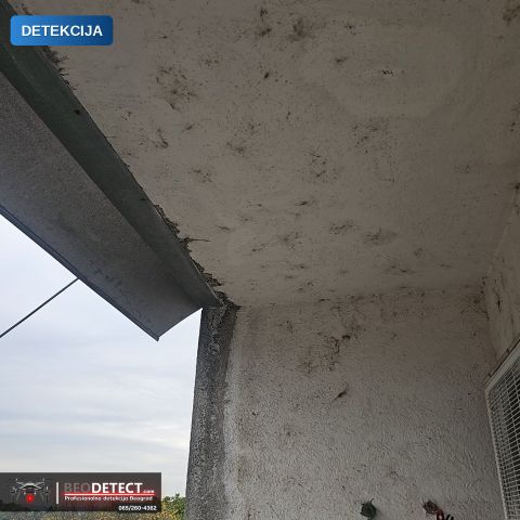 Ispitivanje – merenje vlage u zidu (Rakovica) | BeoDetect otkrivanje uzroka — Rakovica, Beograd