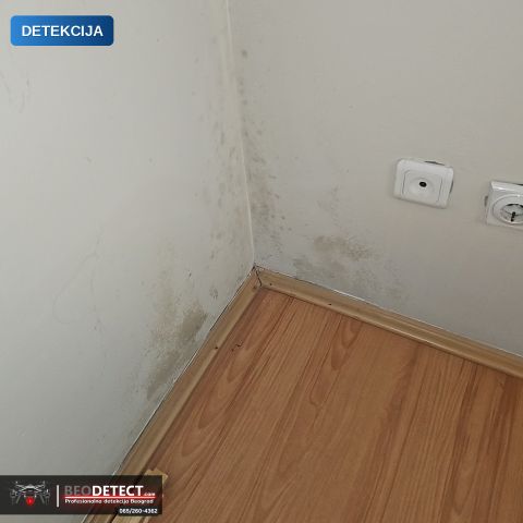 Otkrivanje uzroka vlage Rakovica – Merenje vlage | BeoDetect — Rakovica, Beograd