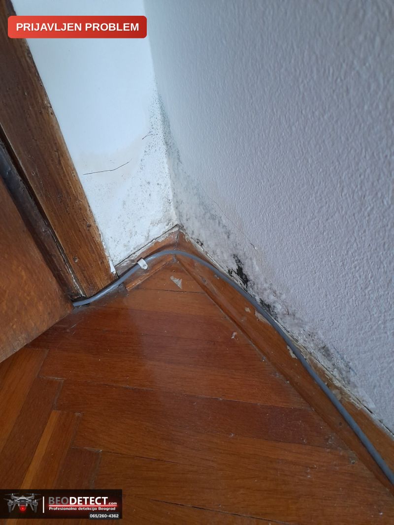 Prijavljen problem – imam izliv vode, vidljive fleke na zidovima prostorija oko kupatila, Beograd — Savski Venac, Beograd