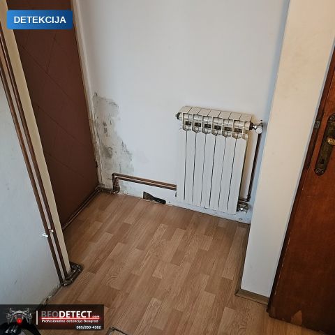 Vlaga i buđ — Zemun, Beograd (BD-2026-0054)
